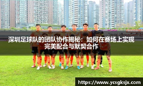 3377体育官网