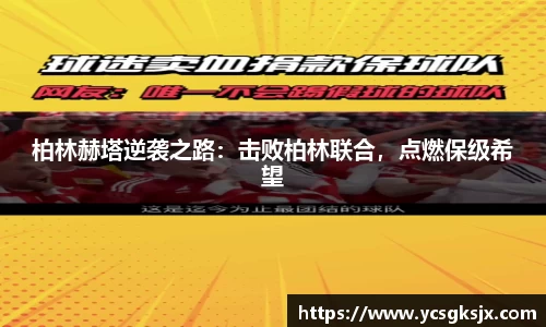 3377体育