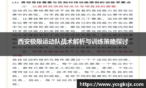 3377体育官网