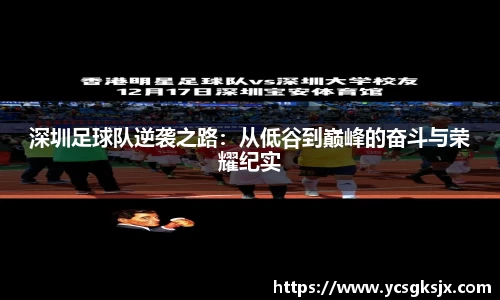 3377体育首页