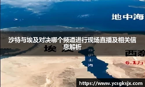 3377体育APP