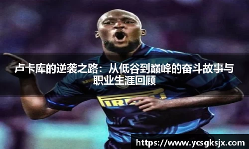 3377体育官网