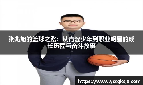 3377体育官网