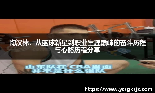 3377体育APP