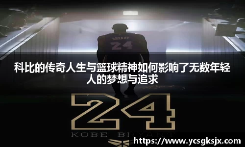 3377体育官网