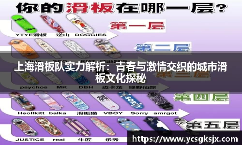 3377体育官网