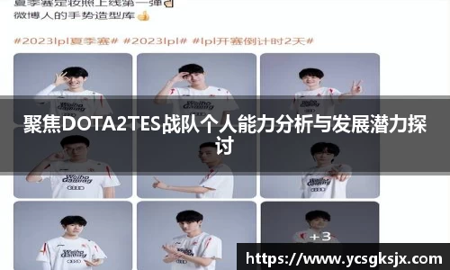 3377体育